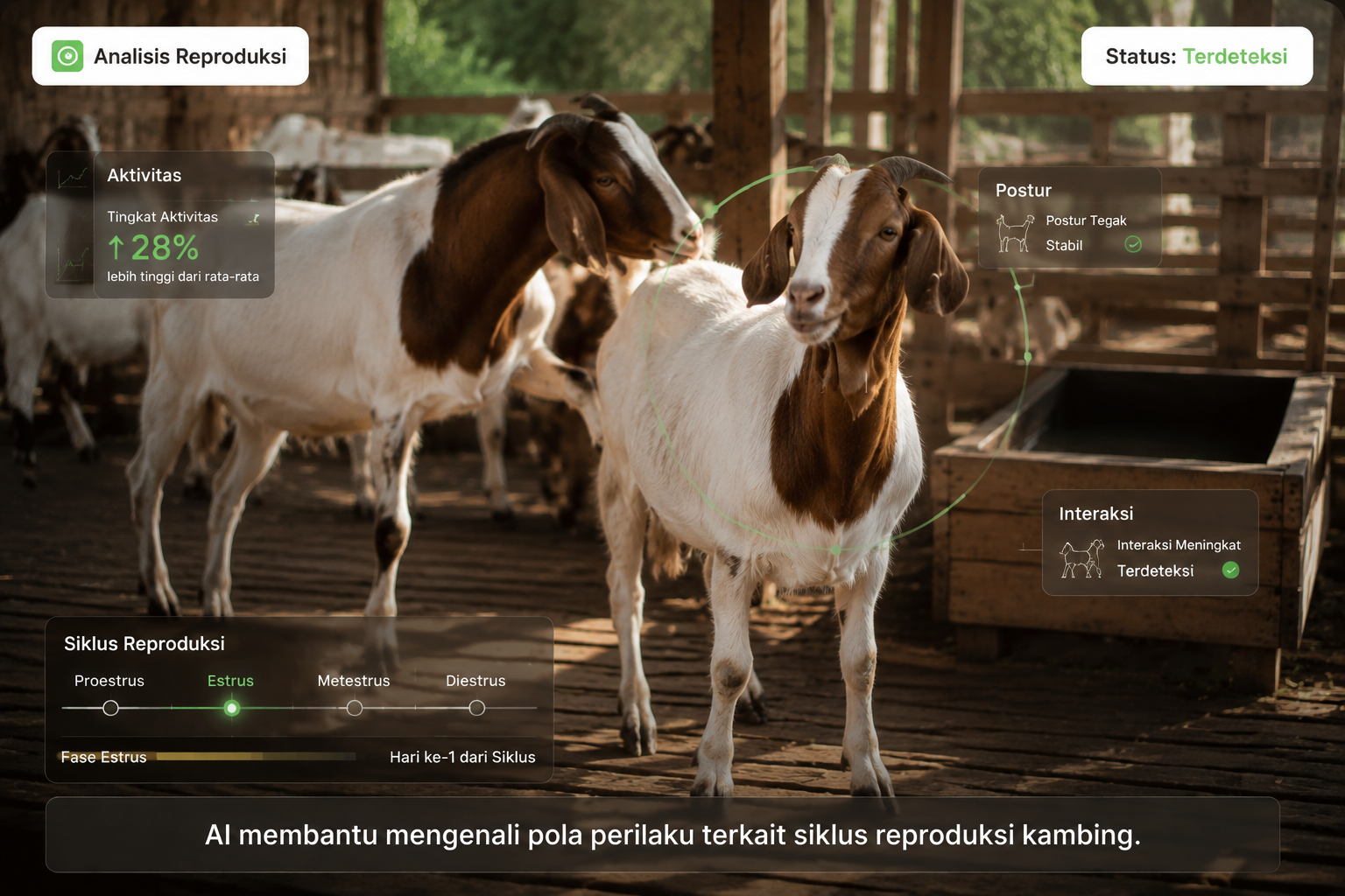 Identifikasi Status Reproduksi